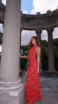 Vestido Aurora